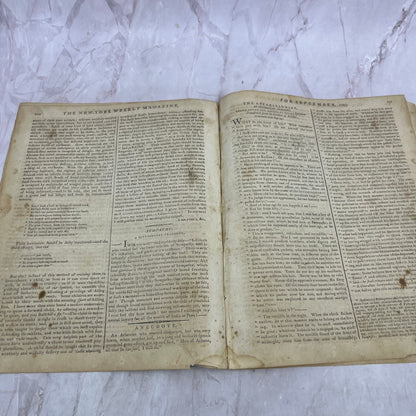 1795 Sep 23 - New York Weekly Magazine - History of Donna Elvira De Suarez D22