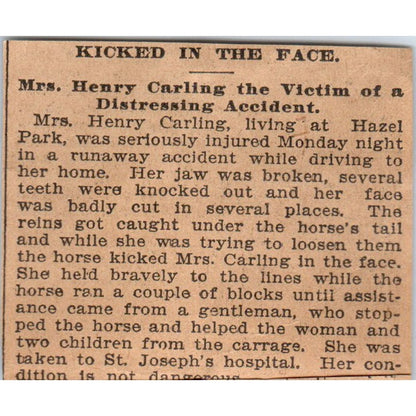 Mrs. Henry Carling Kicked by Horse Hazel Park St. Paul 1898 Newspaper Ad AF2-Q3