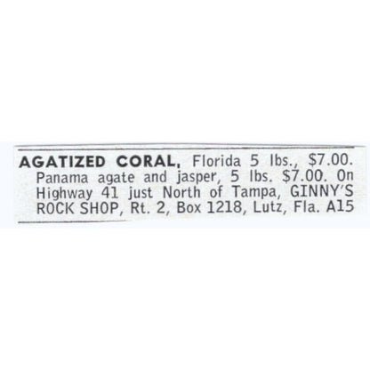 Agatized Coral - Ginny's Rock Shop Lutz Florida 1964 Magazine Ad AK6-S9