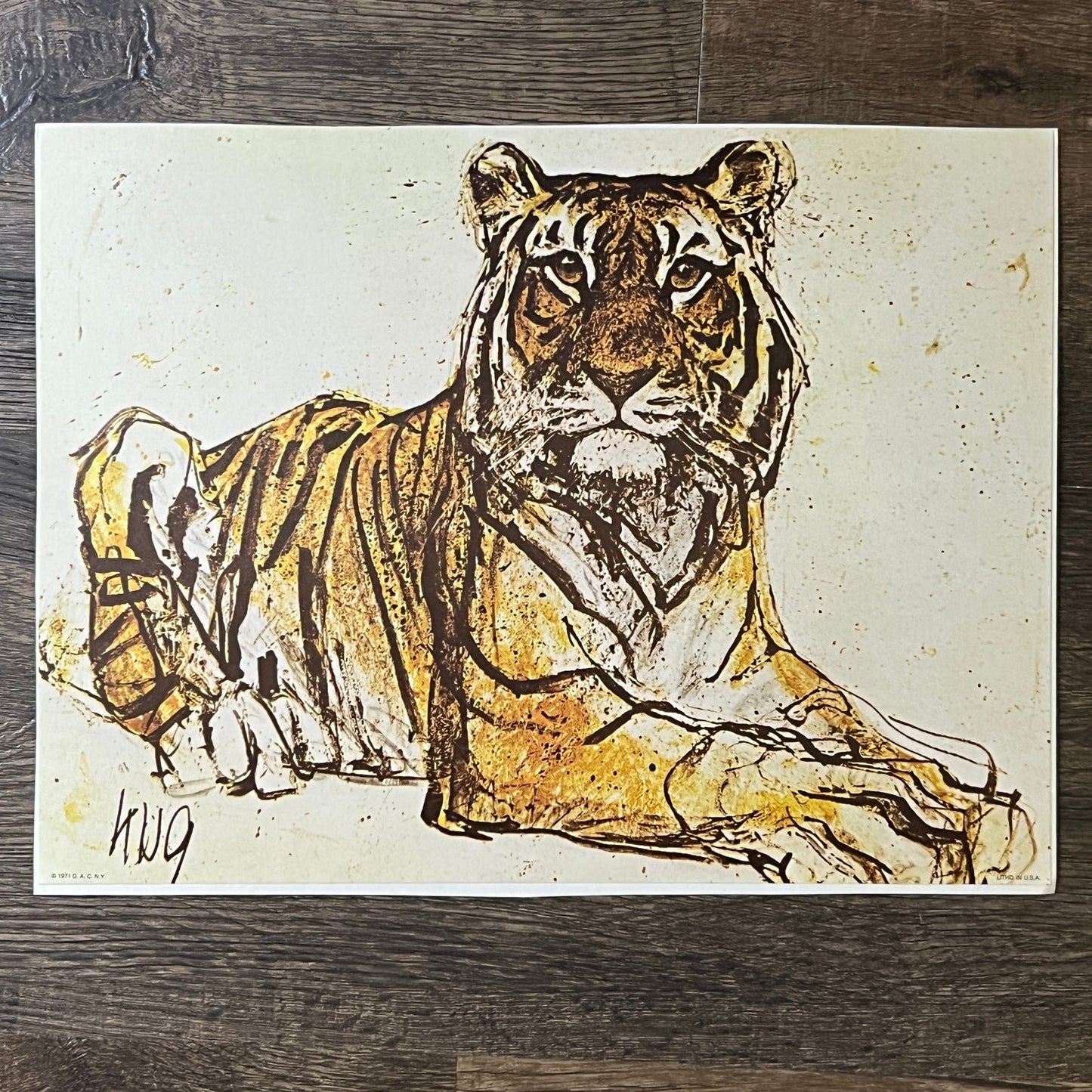 Fritz Hug Tiger Litho Art Print 1971 Kitsch - 9 X 12 Vintage Print V1