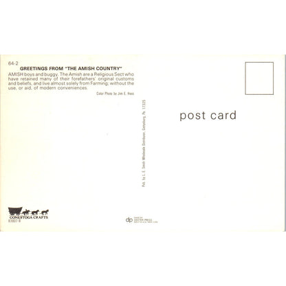 Amish Boys and Horse Buggy Pennsylvania Dutch Country Postcard PD8