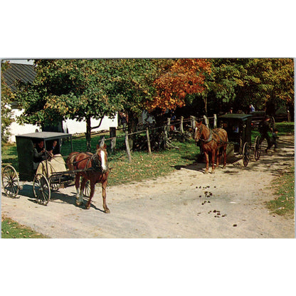 Mennonite Family Buggies Pennsylvania Dutch Country Postcard PD8