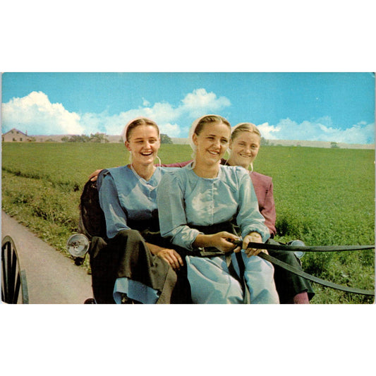 Amish Girls on a Buggy Ride PA Dutch Vintage Postcard PD4