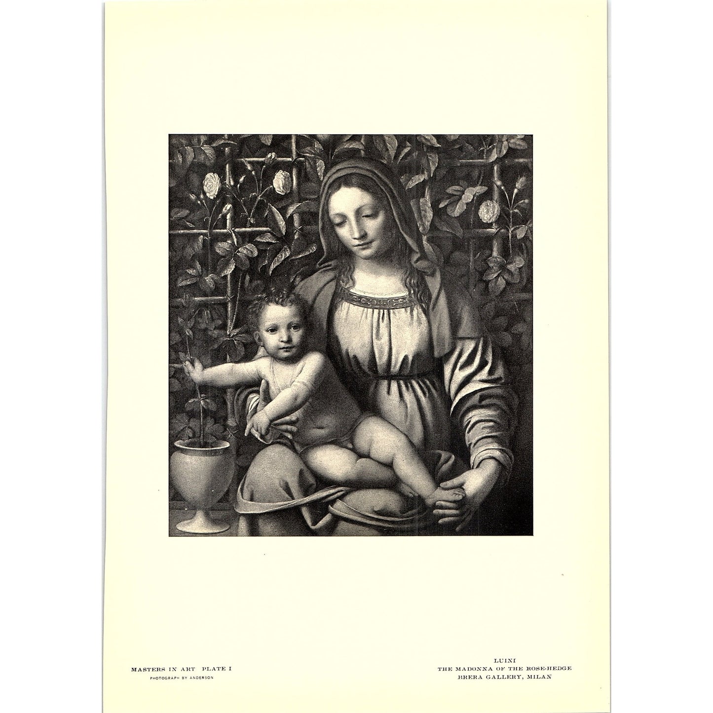 The Madonna of the Rose-Hedge - Luini - 1902 Litho Art Print AF4-4