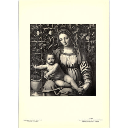 The Madonna of the Rose-Hedge - Luini - 1902 Litho Art Print AF4-4