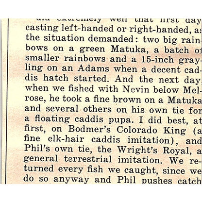 Top Value Dog Supplies Lewis Mfg Co Howell MI 1977 Ad AF6-M2
