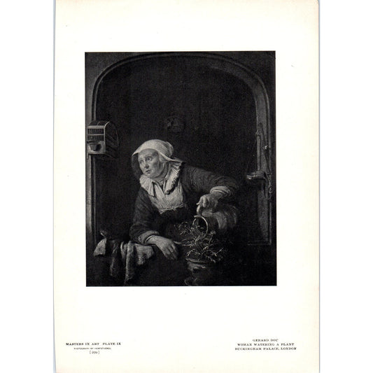 Woman Watering a Plant - Gerard Dou c1905 Art Print D15
