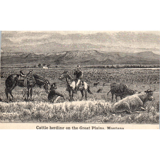 Cattle Herding on the Great Plains Montana 1901 Engraving AF2-O3