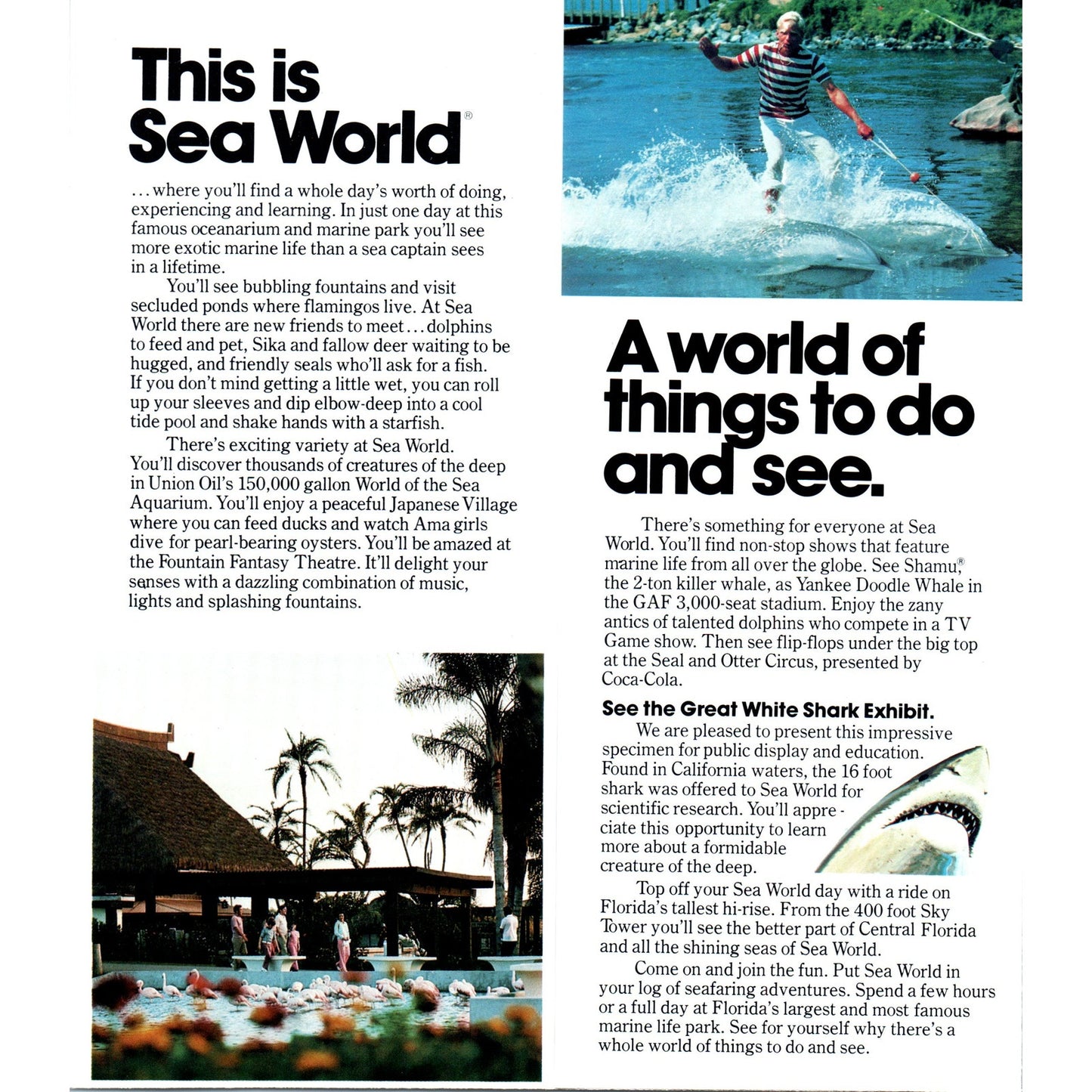 1980s Sea World Orlando Florida Things to Do and See Travel Brochure TF4-BA