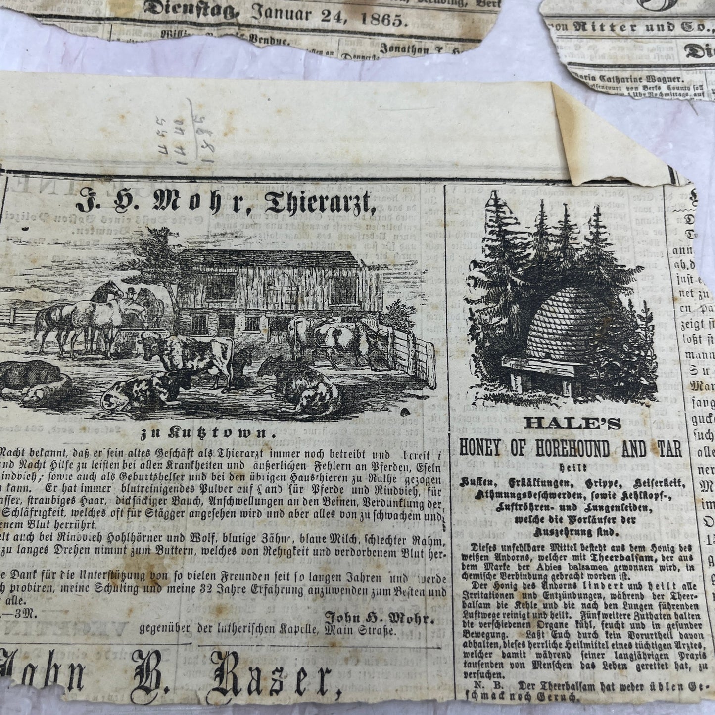 c1865 Lot of Original German Newspaper Clippings D22