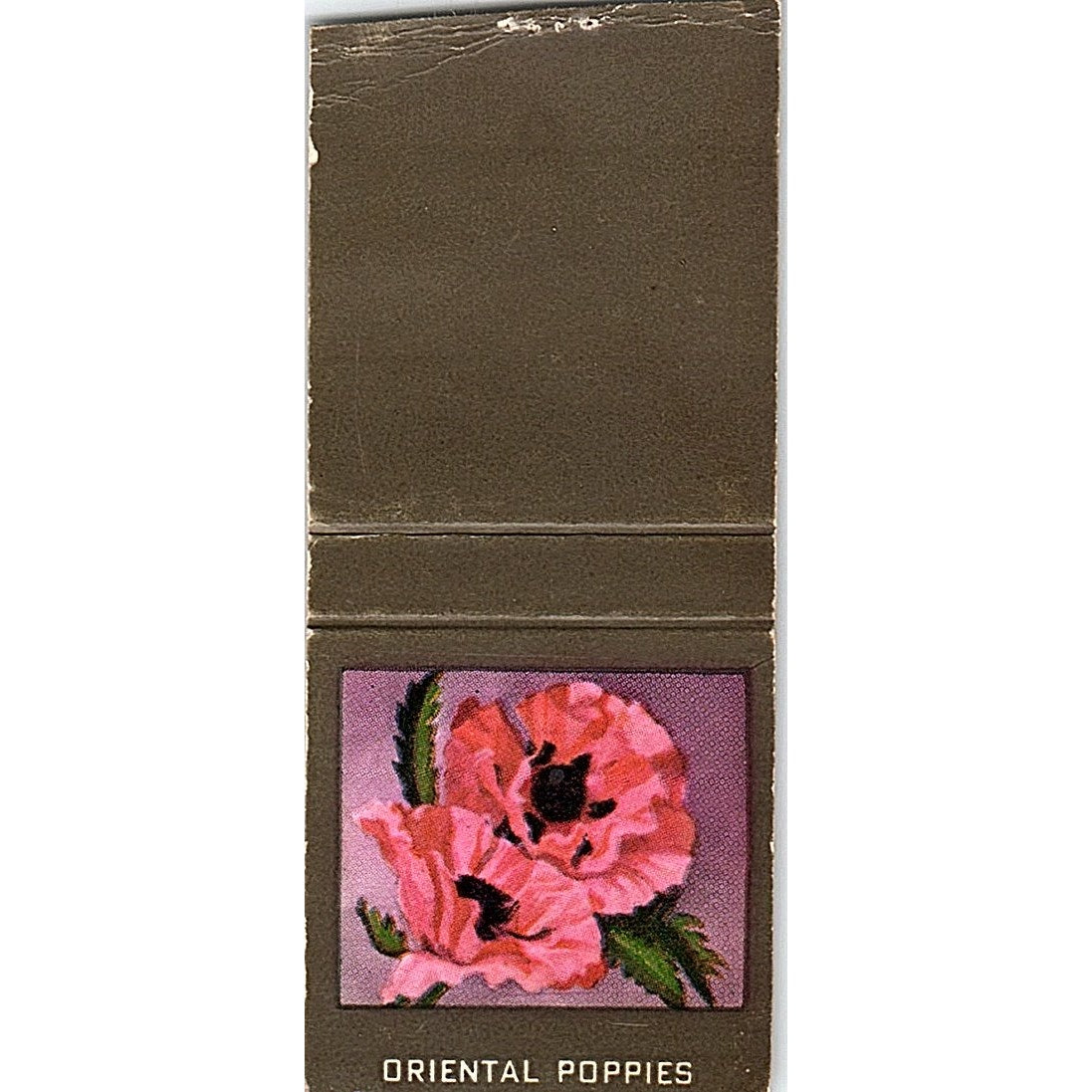The Oriental Poppies Collectible Vintage Matchbook Cover SC7-Y2