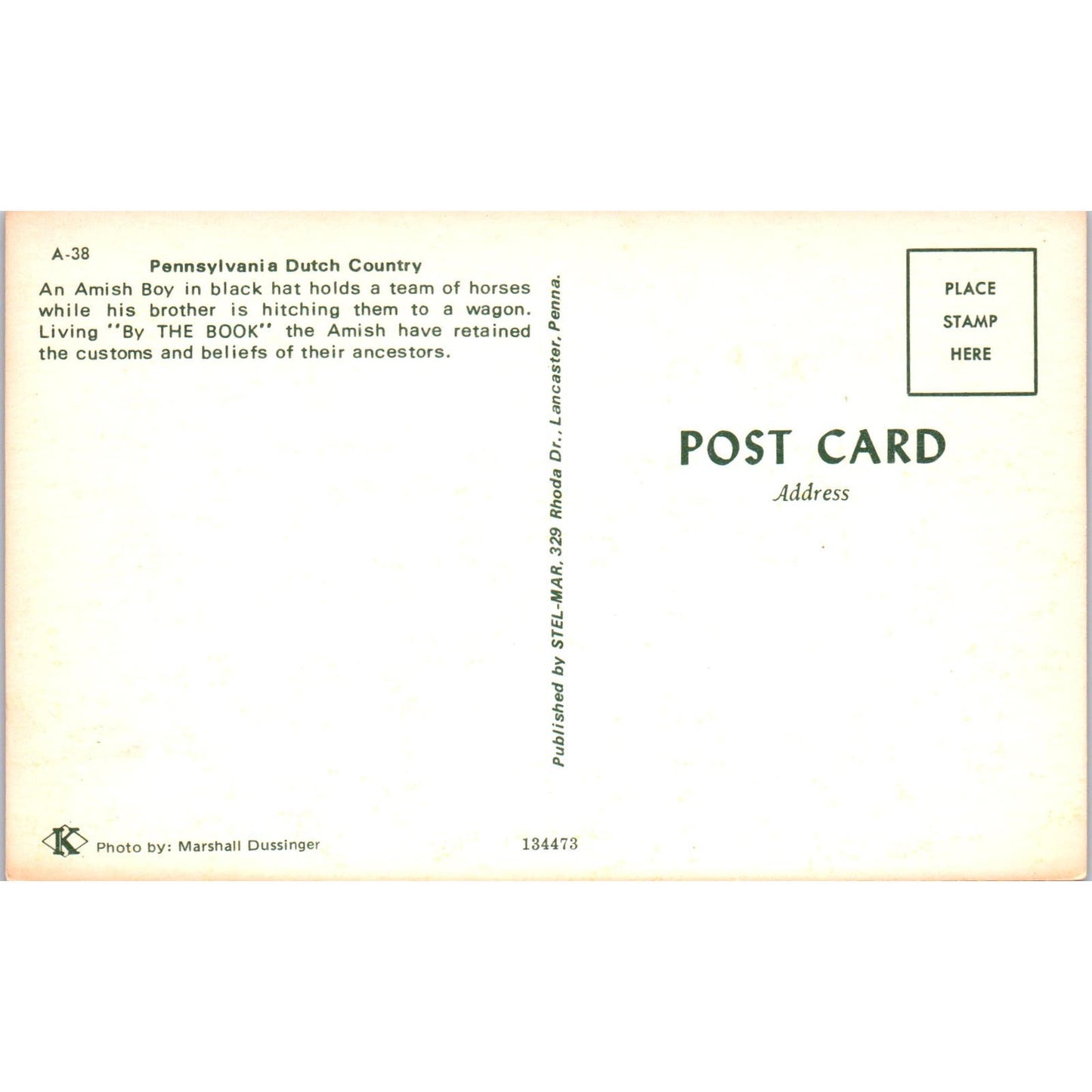 Amish Boy Holds Team of Horses Pennsylvania Dutch Country Postcard PD7