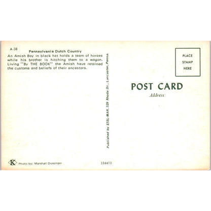 Amish Boy Holds Team of Horses Pennsylvania Dutch Country Postcard PD7