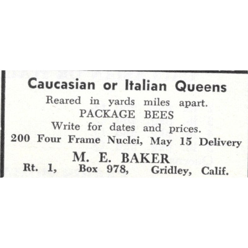 Italian Queens Package Bees M.E. Baker Gridley CA 1961 Magazine Ad AK6-S13