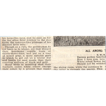 R.D. Eaton Grain & Feed Co Norwich NY 1905 Magazine Ad AF1-NH1