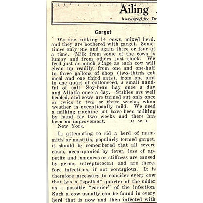 The Jos. Dick Mfg Co Blizzard Ensilage Cutter Canton Ohio 1924 Ad AG3-M3