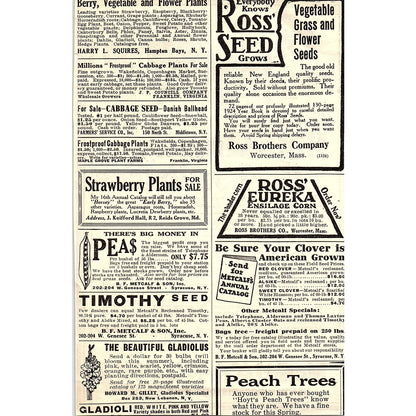 McQuay-Norris Piston Rings St. Louis MO 1924 Ad AG3-4