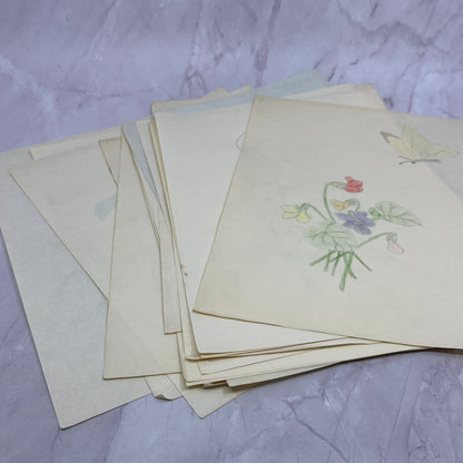1940s Lot Flower Floral Sketches & Studies Winifred Schutsky Pratt Institute TC5