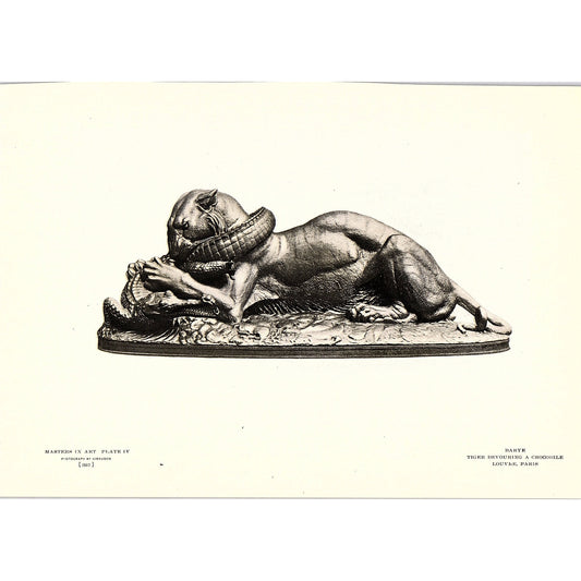 Tiger Devouring a Crocodile - Barye - 1904 Litho Art Print AF4-6