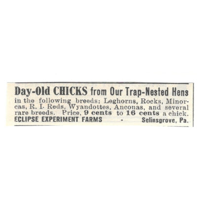 Eclipse Experiment Farms Day-Old Chicks Selinsgrove PA 1924 Ad AG3-S5