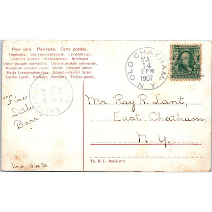 Saint Bernard Puppy Dog Illustration c1907 Postcard PD2