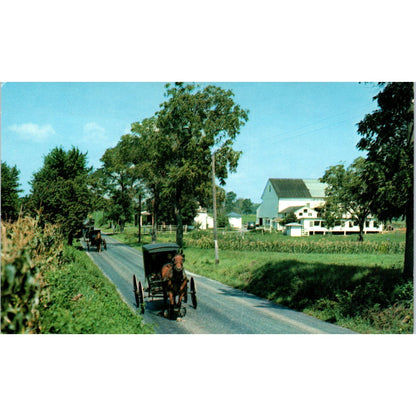Ephrata Amish Family Church Pennsylvania Dutch Country Vintage Postcard PD5