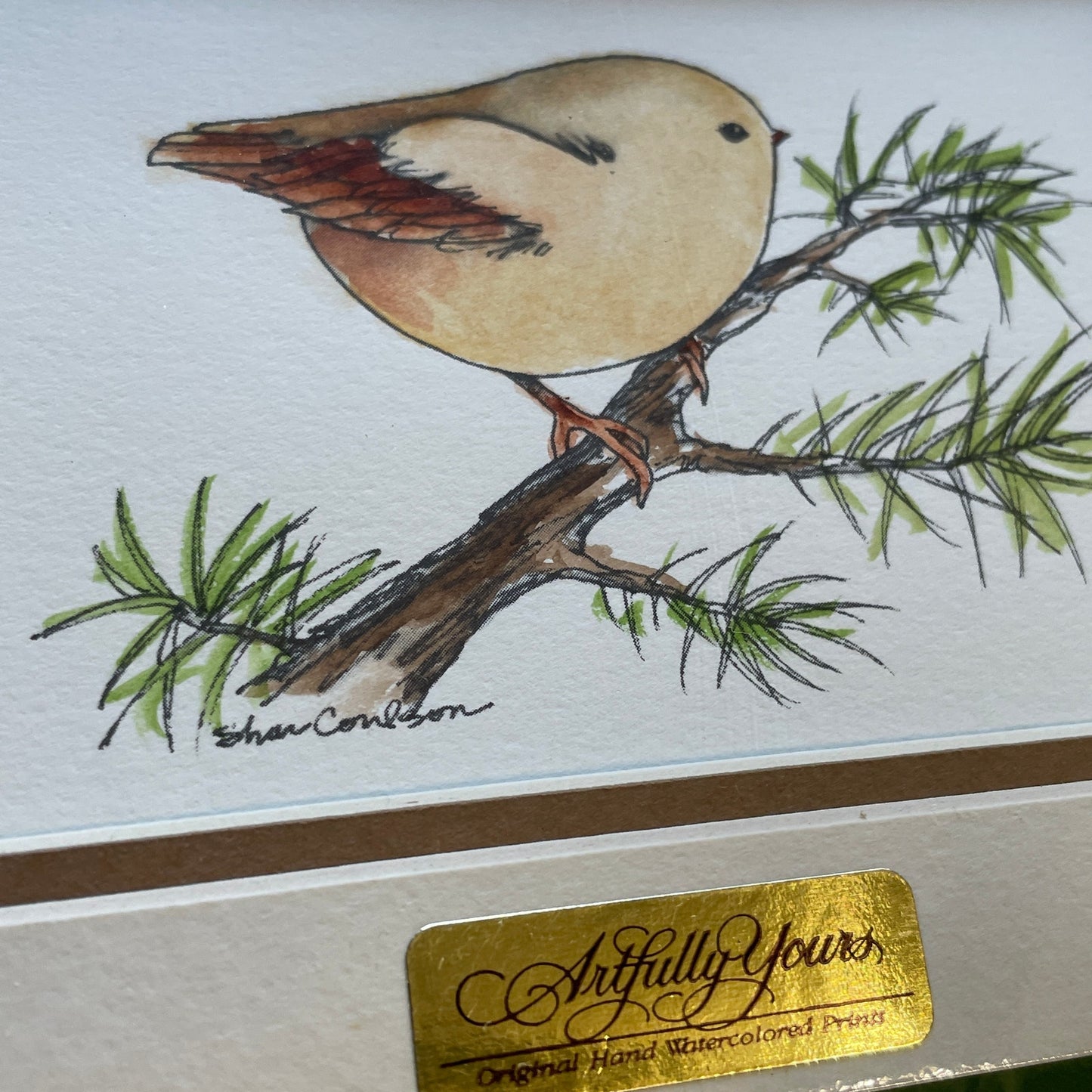 Chubby Tan Wren Bird 5x7 Matted Print Hand Watercolor, Signed Shar Coulson