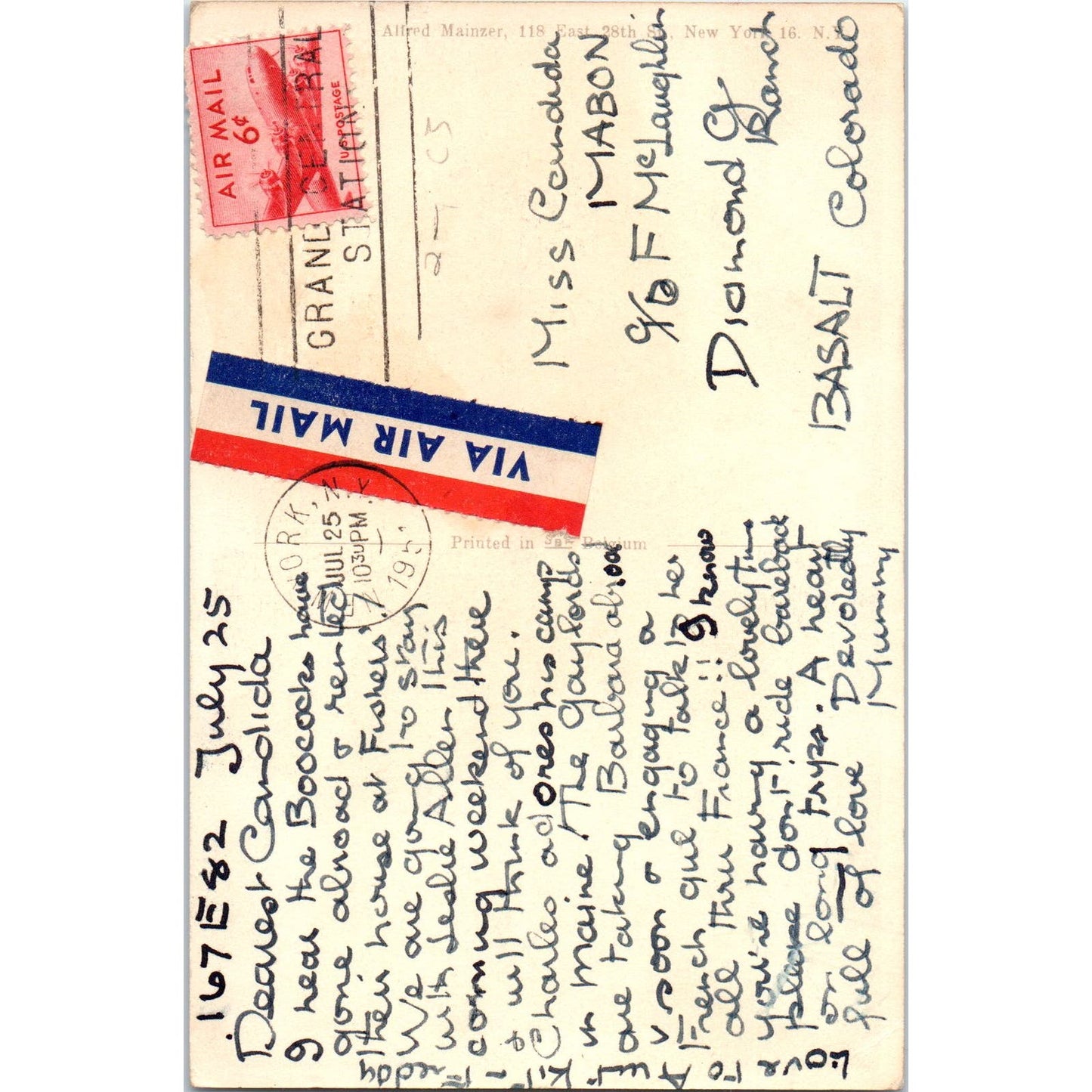 English Springer Spaniel Dog Alfred Mainzer Illustration 1953 Postcard PD1