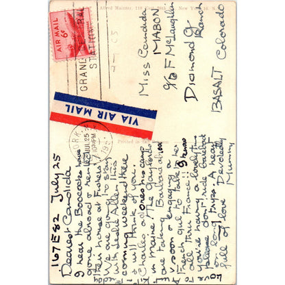 English Springer Spaniel Dog Alfred Mainzer Illustration 1953 Postcard PD1