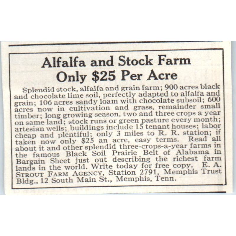 South Farm Agency Memphis TN Alfalfa and Stock Farm 1913 Magazine Advert AE7-N7