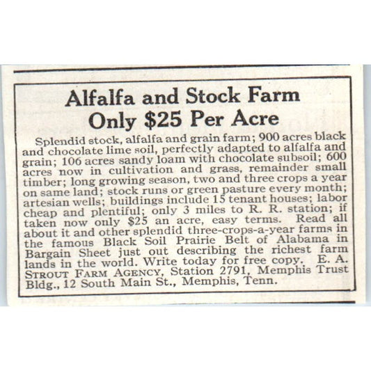 South Farm Agency Memphis TN Alfalfa and Stock Farm 1913 Magazine Advert AE7-N7