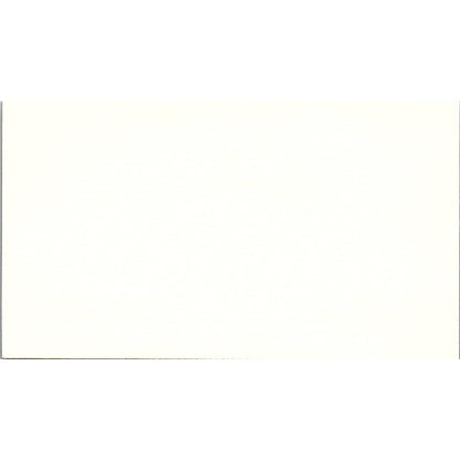 M.M. Marty Wilson Travel Network Auburn CA Vintage Business Card SD9-B14