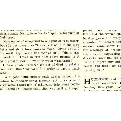 Palmer Lime and Cement Company New York City 1924 Ad AG3-M3