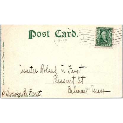 c1905 View on Sebago Lake Maine Original Postcard PC10