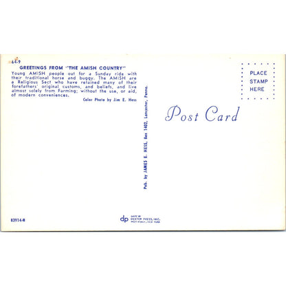 Young Amish People on a Buggy Ride Pennsylvania Dutch Country Postcard PD8