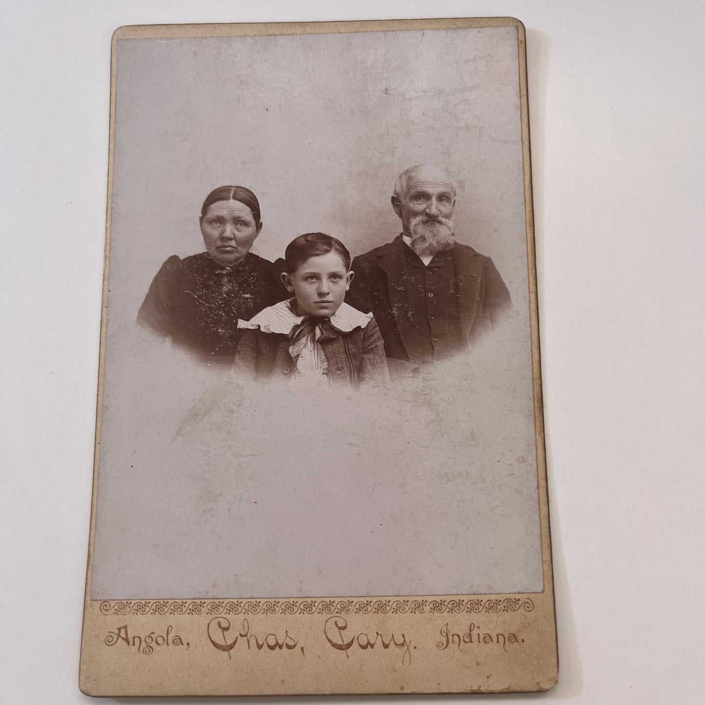 Family Portrait - Chas. Cary Studio Angola IN Antique Victorian CDV Card L2-1