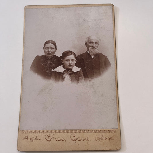 Family Portrait - Chas. Cary Studio Angola IN Antique Victorian CDV Card L2-1