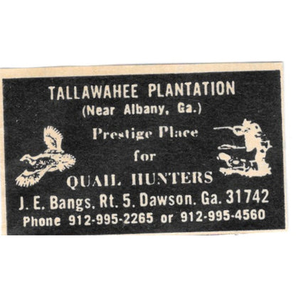 Tallawahee Plantation Quail Hunting J.E. Bangs Dawson GA 1977 Ad AF6-S4