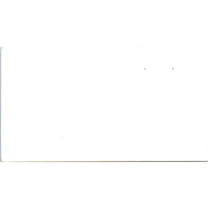 Debbie Dick Metro Copy Systems Inc Houston TX Vintage Business Card SE3-B3