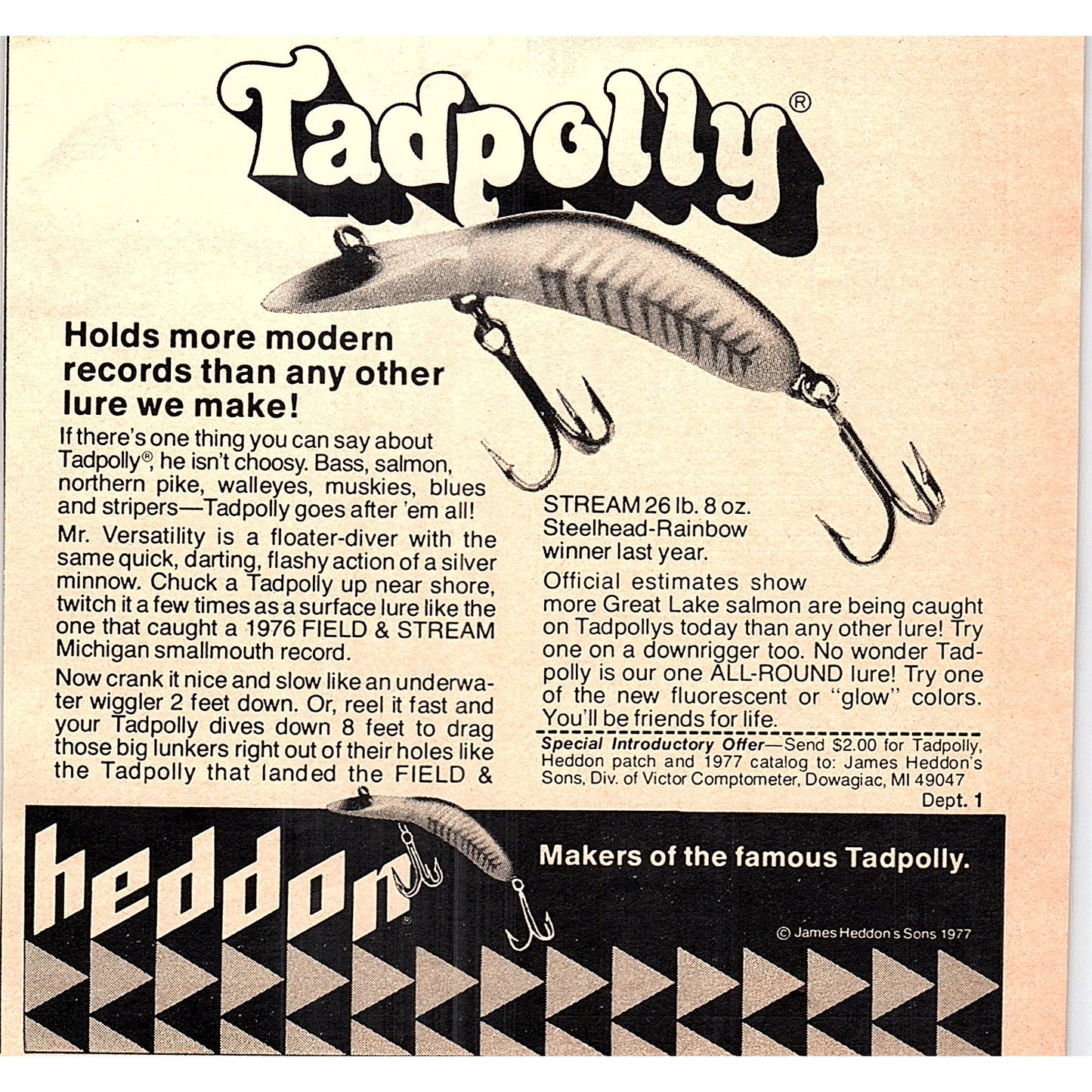 Heddon Tadpolly Fishing Lure Dowagiac MI 1977 Ad AF6-5