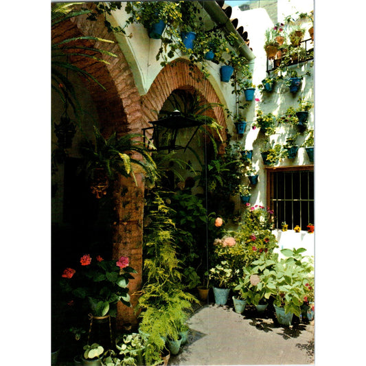 España Es Diferente Tipico ati Andaluz Vintage Postcard PD1