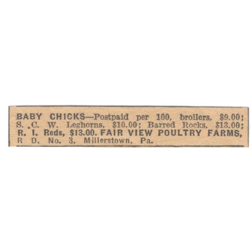 Fair View Poultry Farms Baby Chicks Millerstown PA 1922 Magazine Ad AF2-T5