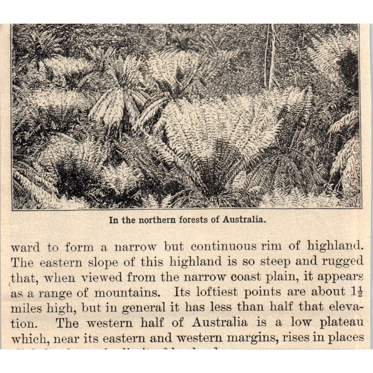 Workers in an Australian Gold Mine 1901 Engraving AF2-A6