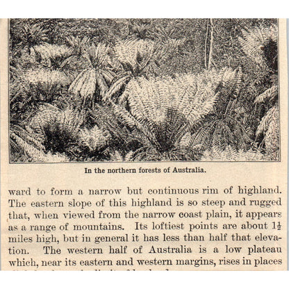 Workers in an Australian Gold Mine 1901 Engraving AF2-A6