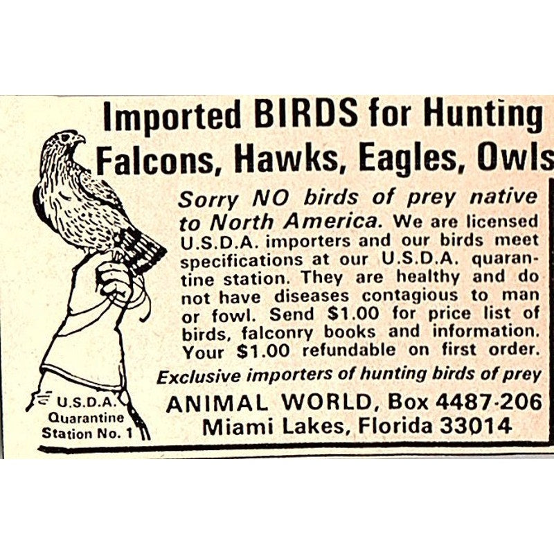 Animal World Imported Birds for Hunting Miami Lakes FL 1977 Ad AF6-M3