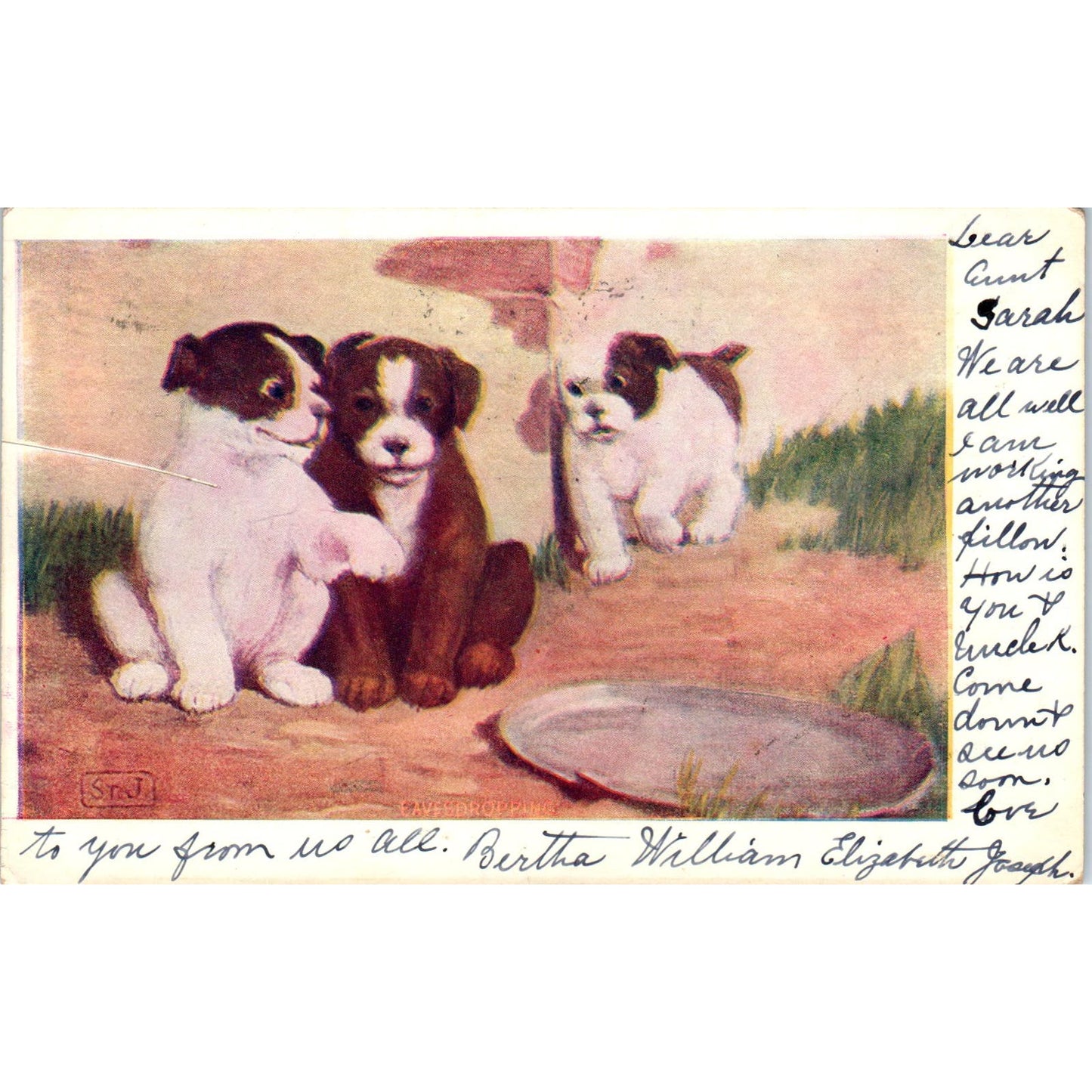 Eavesdropping SrJ Dog Puppy Mischief 1906 Postcard PD2