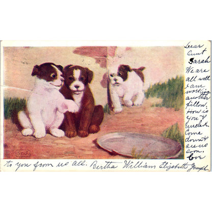 Eavesdropping SrJ Dog Puppy Mischief 1906 Postcard PD2