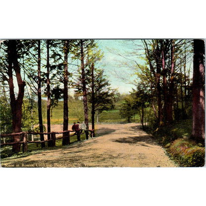 Scene in Roscoe Conkling Park Utica NY Antique Unused Postcard PC7