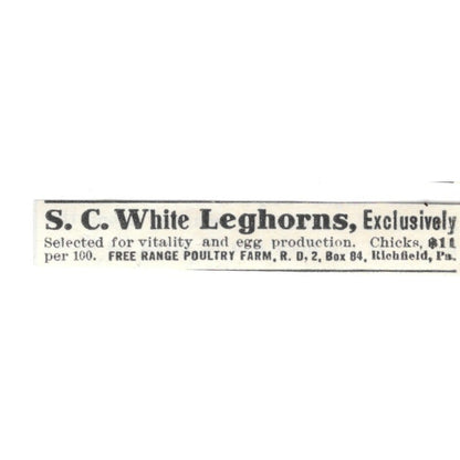 Free Range Poultry Farm White Leghorns Richfield PA 1924 Ad AG3-S7