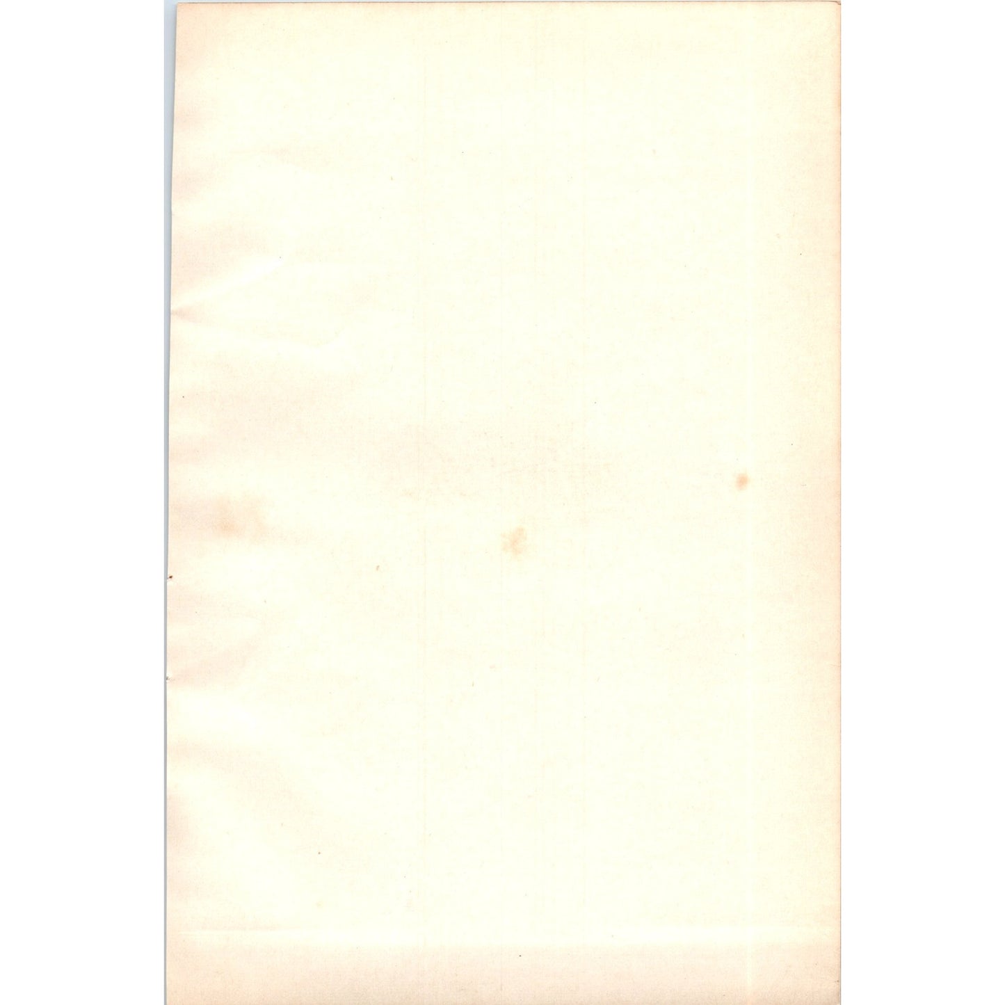 Cole Tit Bird 1903 Original Color Engraving Plate Print AD8-B1